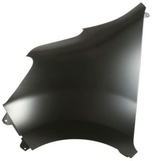 Renault Spatbord 6504046062311P