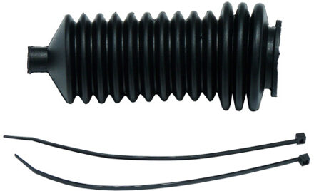 Renault Stuurhoes, stuureenheid