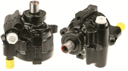 Renault Stuurpomp JPR589