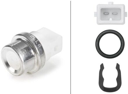 Renault Temperatuursensor