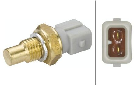 Renault Temperatuursensor