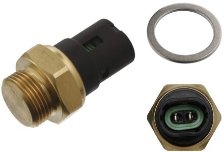 Renault Thermische Schakelaar