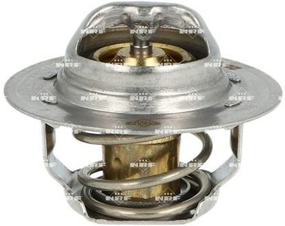 Renault Thermostaat, koelvloeistof 725089