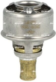 Renault Thermostaat, koelvloeistof 725254