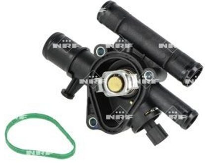 Renault Thermostaat, koelvloeistof 725300