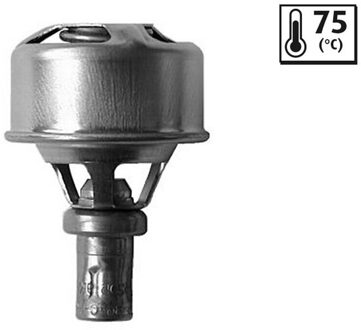 Renault Thermostaat, koelvloeistof 819921