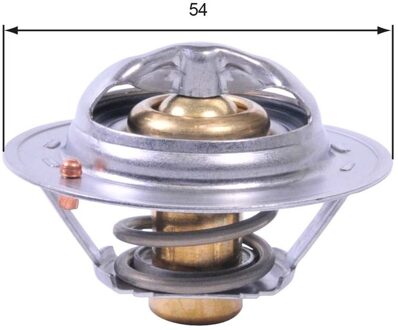 Renault Thermostaat, koelvloeistof