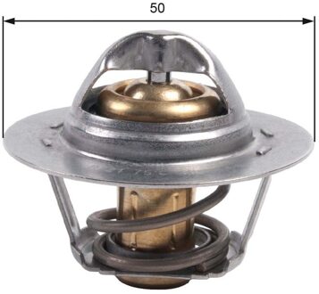 Renault Thermostaat, koelvloeistof