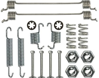 Renault Toebehoren, remschoen