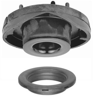 Renault Veerpootvoering