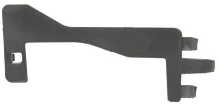 Renault Ventilatiegrille, bumper 5510006009924P