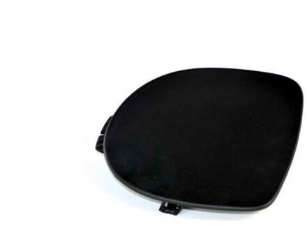 Renault Ventilatiegrille, bumper 5510006032925P