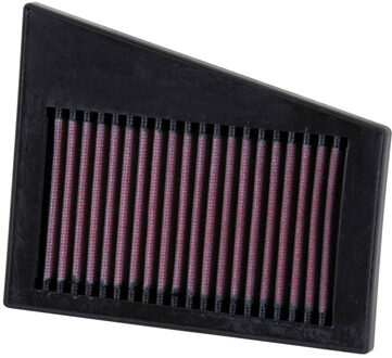 Renault vervangingsfilter passend voor Renault Megane/Clio 16v 1999- (33-2194)