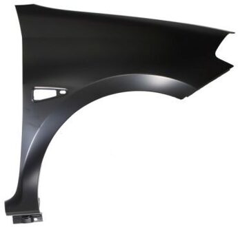 Renault Voorspatbord Rechts 6504046030312P