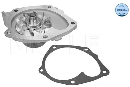 Renault Waterpomp 16132200024