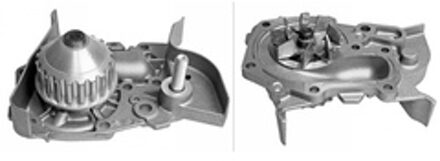 Renault Waterpomp 538002210