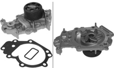 Renault Waterpomp 538038110