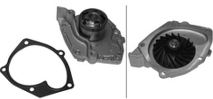 Renault Waterpomp 538038210