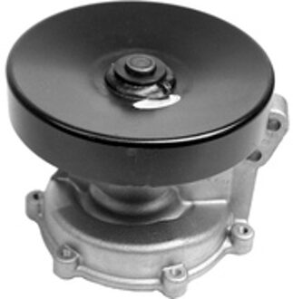 Renault Waterpomp 538049310