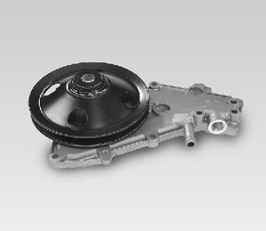 Renault Waterpomp P832