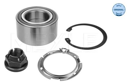 Renault Wiellager 16146500009