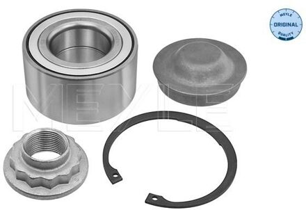 Renault Wiellager 16146500024