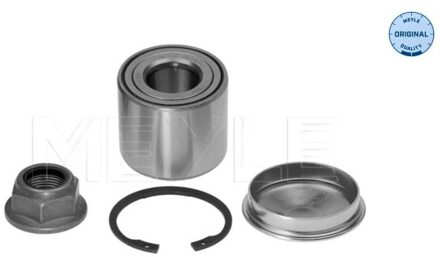 Renault Wiellager 16147500004