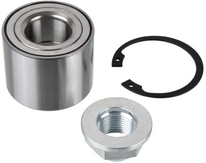 Renault Wiellager 170371