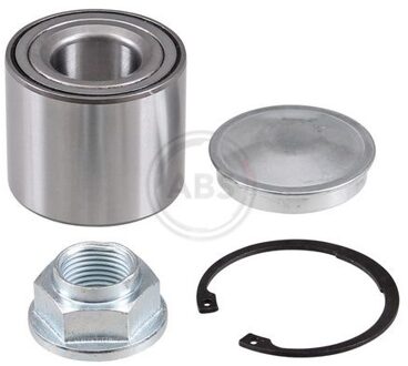 Renault Wiellagerset 201909