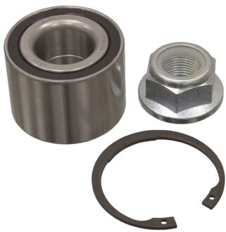 Renault Wiellagerset