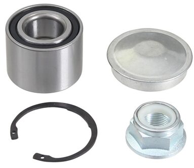 Renault Wiellagerset