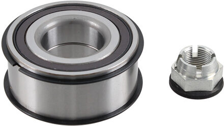 Renault Wiellagerset