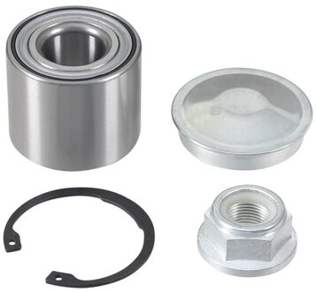 Renault Wiellagerset