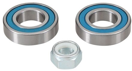 Renault Wiellagerset