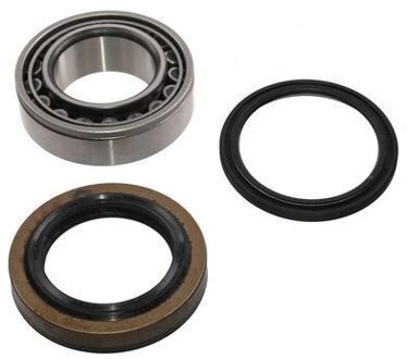 Renault Wiellagerset