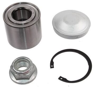 Renault Wiellagerset