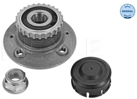 Renault Wielnaaf 16147520007