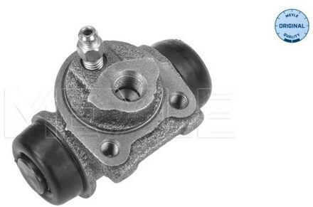 Renault Wielremcilinder 16145310006