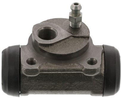 Renault Wielremcilinder