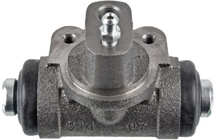 Renault Wielremcilinder