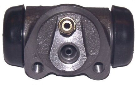 Renault Wielremcilinder