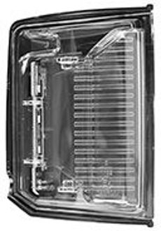 Renault Zijlicht In Spiegel L. 4423915