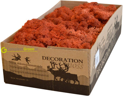 Rendiermos sienna 500 gram