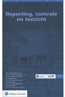 Reporting, controle en toezicht - Boek Dirk Schoenmaker (9013136583)