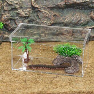 Reptiel & Amfibie Terrarium Box Voor Slangen Hagedissen Turtles Spiders