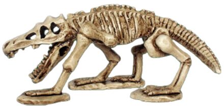 Reptiel Doos Hagedis Doos Spider Schorpioen Doos Landschapsarchitectuur Dinosaurus Voorkomen Cave Snake Tropische Woestijn Decoratie Landscaping