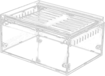 Reptiel Fokkerij Doos Acryl Spider Hagedis Schorpioen Duizendpoot Acryl Gemonteerd Transparante Insect Ademend Fokken Doos 20x15x10 cm