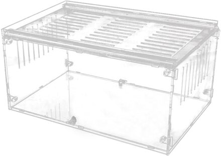 Reptiel Fokkerij Doos Acryl Spider Hagedis Schorpioen Duizendpoot Acryl Gemonteerd Transparante Insect Ademend Fokken Doos 30x20x15cm