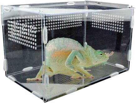 Reptiel Fokkerij Doos Acryl Voerbox Voor Spider Hagedis Kikker Cricket Schildpad Transparante Waarderen Terrarium 20X15X15CM