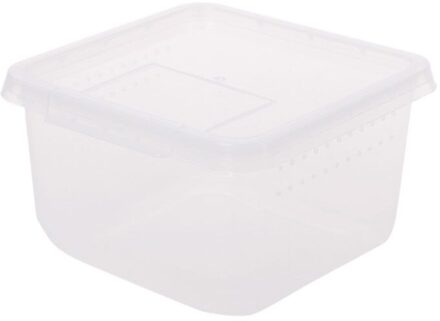 Reptiel Terrarium Feeder Fokken Doos Schildpad Spider Hagedis Kever Insect Huis G5GB